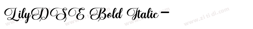 LilyDSE Bold Italic字体转换